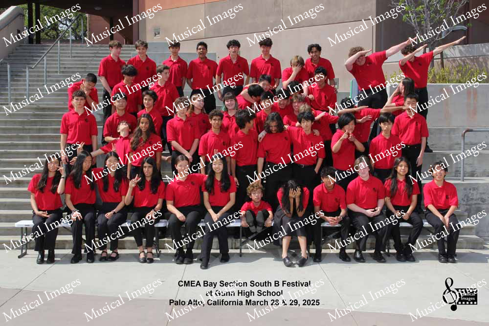 Musical Images